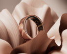 O Oura ring 4 pode superar o Samsung Galaxy ring em design e pagamento sem contato? (Fonte da imagem: Oura)