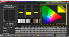 CalMAN ColorChecker (perfil: P3, espaço de cor alvo: P3)