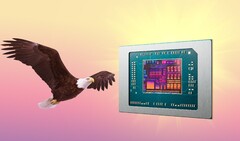 O AMD Bald Eagle Point, se não for descartado, poderá ser lançado no próximo ano. (Fonte da imagem: AMD, FlashBuddy, editado)