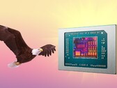 O AMD Bald Eagle Point, se não for descartado, poderá ser lançado no próximo ano. (Fonte da imagem: AMD, FlashBuddy, editado)