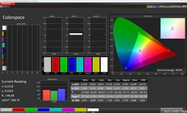 Espaço de cores da tela interna (Perfil: Profissional, Padrão; espaço de cores alvo: sRGB)
