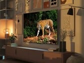 As mini-TVs Fire TV Omni da Amazon têm um sensor de luz que ajusta automaticamente a qualidade da imagem com base na luz ambiente. (Fonte da imagem: Amazon)