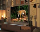 As mini-TVs Fire TV Omni da Amazon têm um sensor de luz que ajusta automaticamente a qualidade da imagem com base na luz ambiente. (Fonte da imagem: Amazon)