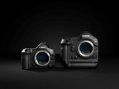 Canon EOS R5 Mark II (esquerda) e a R1 (direita) (Fonte: Canon)