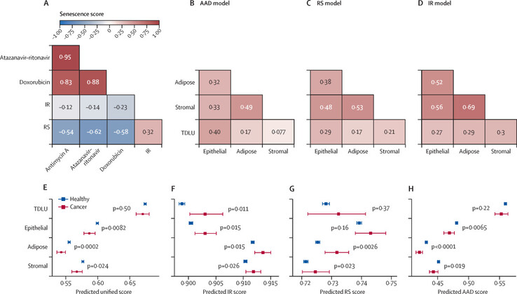 Classificação de tecidos e futuro diagnóstico de câncer. (Fonte da imagem: The Lancet Digital Health)