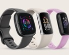 O Google tem se esforçado muito para evitar que os produtos da Fitbit canibalizem as vendas do Pixel Watch (Fonte da imagem: Fitbit)