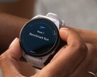 Alguns smartwatches Garmin Forerunner estão recebendo a atualização beta da versão 21.16. (Fonte da imagem: Garmin)