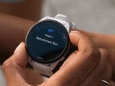 Alguns smartwatches Garmin Forerunner estão recebendo a atualização beta da versão 21.16. (Fonte da imagem: Garmin)