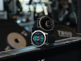 A Garmin emitiu mais de 100 correções de bugs para o Enduro 3, o Fenix E e o Fenix 8 desde seu lançamento no verão. (Fonte da imagem: Garmin)