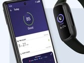 Um futuro Fitbit AI Sleep Lab poderia se juntar aos recursos existentes de rastreamento do sono baseados em aplicativos (acima). (Fonte da imagem: Fitbit)