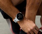 A Garmin lançou a versão beta 20.21 para o Forerunner 955. (Fonte da imagem: Garmin)