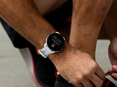 A Garmin lançou a versão beta 20.21 para o Forerunner 955. (Fonte da imagem: Garmin)