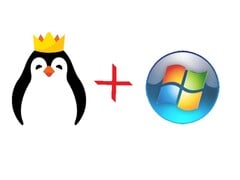 Fonte da imagem: Kinguin.net, Microsoft com edições