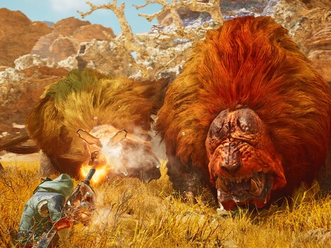 Combate no deserto de Monster Hunter Wilds (Fonte da imagem: Steam)