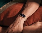 A Xiaomi Smart Band 9 foi lançada oficialmente. (Fonte da imagem: Xiaomi)