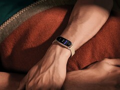 A Xiaomi Smart Band 9 foi lançada oficialmente. (Fonte da imagem: Xiaomi)