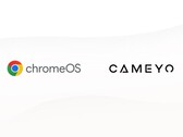 Google adquire a Cameyo (Fonte: Google Cloud Blog)