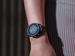 O Garmin Forerunner 255 foi atualizado com a versão beta 20.21. (Fonte da imagem: Garmin)