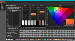 ColorChecker após a calibração