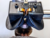 Pesquisadores da Universidade de Cornell criam o protótipo de fone de ouvido MouseGoggles Duo 3D VR para camundongos. (Fonte da imagem: Universidade de Cornell)