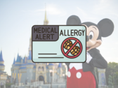 Michael Scheuer, o ex-funcionário, supostamente manteve o acesso aos sistemas da Disney usando credenciais de login antigas, mesmo após o término de seu contrato de trabalho. (Fonte da imagem: Disney Connect - Editado)