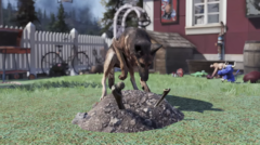 Os animais de estimação em Fallout 76 poderão cultivar recursos passivamente para os jogadores, de acordo com os relatórios. (Fonte da imagem: Game Rant)