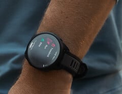 A versão 19.18 do software traz várias correções de bugs e melhorias para o Forerunner 165. (Fonte da imagem: Garmin)