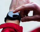 Uma nova atualização beta chegou para o smartwatch Garmin Forerunner 955. (Fonte da imagem: Garmin)