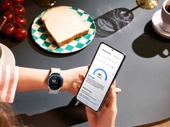 O One UI 6 Watch agora está sendo implementado em todos os smartwatches Galaxy Watch recentes da Samsung. (Fonte da imagem: Samsung)