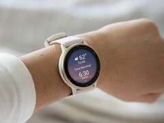 Uma nova atualização beta chegou para os wearables Garmin Vivoactive 5 (acima) e Venu 3. (Fonte da imagem: Garmin)