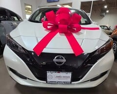 O Nissan Leaf. A mulher abusou racialmente do EV presenteado para nunca mais trocar o óleo (Fonte da imagem: Makayla Starks)