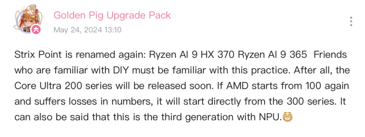 Novos nomes de CPU AMD Strix Point (imagem via Bilibili)