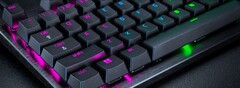 A série Razer Huntsman oferece recursos importantes para jogos competitivos. (Fonte da imagem: Razer)