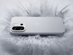 O OnePlus 13T contém alguns downgrades em comparação com o OnePlus 13 maior. (Fonte da imagem: OnePlus)