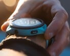 Muitos desenvolvedores relataram um problema que faz com que os smartwatches da Garmin congelem ou travem. (Fonte da imagem: Garmin)