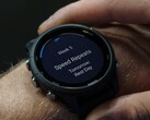 A Garmin lançará a versão beta 22.12 para vários smartwatches Forerunner. (Fonte da imagem: Garmin)