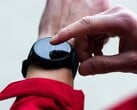 A versão beta 22.22 da Garmin está agora sendo lançada para smartwatches, incluindo o Forerunner 955. (Fonte da imagem: Garmin)