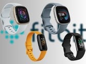 Os smartwatches e rastreadores de condicionamento físico da Fitbit geralmente herdam a tecnologia dos Pixel Watches mais sofisticados (Fonte da imagem: Fitbit - editado)