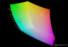 vs. Adobe RGB: 88,9% de cobertura