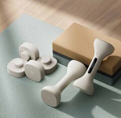 O Xiaomi Mijia Smart Dumbbells. (Fonte da imagem: Xiaomi)