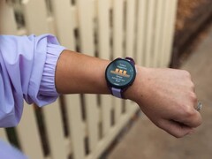 O Garmin Forerunner 165 receberá em breve uma nova atualização beta. (Fonte da imagem: Garmin)