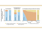 O novo estudo da Anthropic mostra que os modelos de IA mentirão para se proteger (Fonte da imagem: Anthropic)