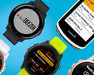 A Garmin lançou o Connect IQ SDK 8.1.0. (Fonte da imagem: Garmin)