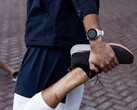 A Garmin está lançando a versão beta 20.15 para o smartwatch Forerunner 255. (Fonte da imagem: Garmin)