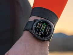 Alguns smartwatches Garmin Fenix 8 apresentam problemas relacionados à água fria. (Fonte da imagem: Garmin)