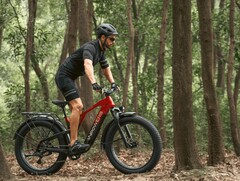 A e-bike Vanpowers GrandTeton-Pro tem um motor de 750W. (Fonte da imagem: Vanpowers)