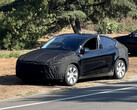 O Tesla Model Y Juniper refresh finalmente apareceu, sinalizando o progresso em direção a um lançamento no início de 2025. (Fonte da imagem: u/JacklJackon Reddit)