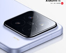 O Xiaomi 15 tem uma tela de 6,36 polegadas como seu antecessor. (Fonte da imagem: Xiaomi)