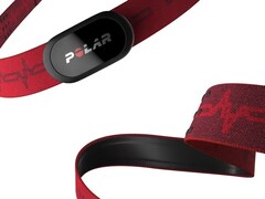 A Polar parece estar trabalhando em uma nova pulseira vestível semelhante ao H10 (acima). (Fonte da imagem: Polar)