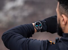 O Fenix E e o Fenix 8 são os primeiros smartwatches Fenix a apresentar telas AMOLED. (Fonte da imagem: Garmin)